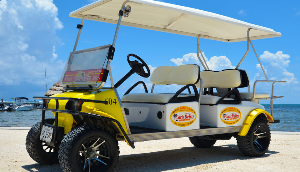 6-Seater Golf Cart